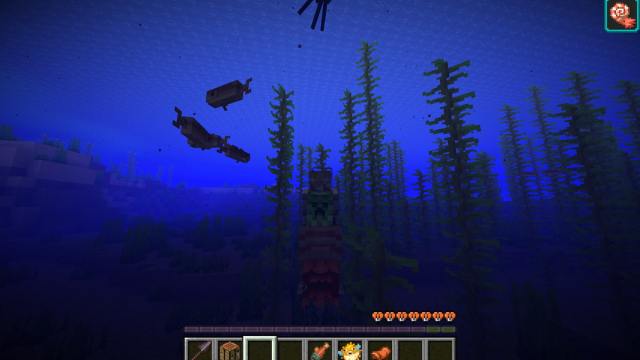 Riding nautilus underwater in minecraft 